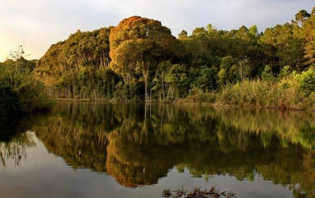 Khám phá Vườn quốc gia Chư Mom Ray - di sản ASEAN độc đáo